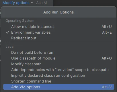 Dodawanie opcji do wirtualnej maszyny języka Java w "IntelliJIDEA"